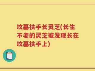 坟墓扶手长灵芝(长生不老的灵芝被发现长在坟墓扶手上)