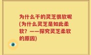 为什么干的灵芝很软呢(为什么灵芝是如此柔软？——探究灵芝柔软的原因)