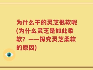 为什么干的灵芝很软呢(为什么灵芝是如此柔软？——探究灵芝柔软的原因)