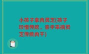 小孩子拿肉灵芝(孩子珍惜传统，亲手采摘灵芝传统肉干)