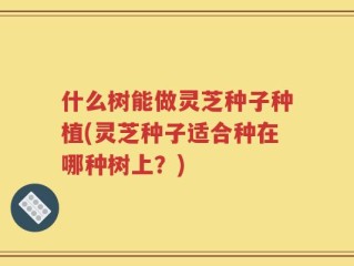什么树能做灵芝种子种植(灵芝种子适合种在哪种树上？)