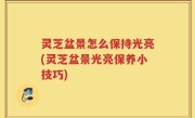 灵芝盆景怎么保持光亮(灵芝盆景光亮保养小技巧)