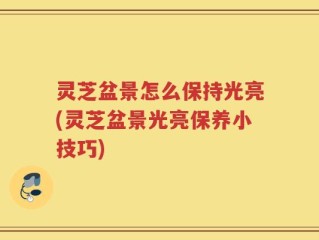 灵芝盆景怎么保持光亮(灵芝盆景光亮保养小技巧)