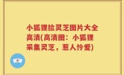 小狐狸捡灵芝图片大全高清(高清图：小狐狸采集灵芝，惹人怜爱)