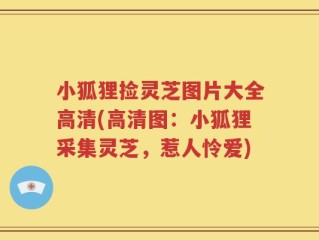 小狐狸捡灵芝图片大全高清(高清图：小狐狸采集灵芝，惹人怜爱)