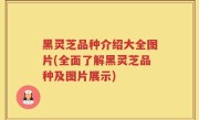 黑灵芝品种介绍大全图片(全面了解黑灵芝品种及图片展示)