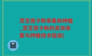 灵芝孢子粉采集和种植_灵芝孢子粉的高效采集与种植技术指南)