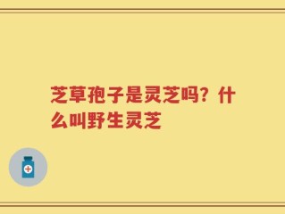 芝草孢子是灵芝吗？什么叫野生灵芝