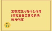 宜春灵芝片有什么作用(探究宜春灵芝片的功效与作用)