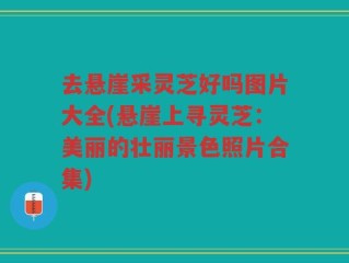 去悬崖采灵芝好吗图片大全(悬崖上寻灵芝：美丽的壮丽景色照片合集)