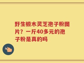 野生椴木灵芝孢子粉图片？一斤40多元的孢子粉是真的吗
