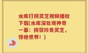 水库打捞灵芝视频播放下载(水库深处现神奇一幕：捞获珍贵灵芝，惊艳世界！)