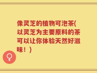 像灵芝的植物可泡茶(以灵芝为主要原料的茶可以让你体验天然好滋味！)
