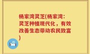 杨家湾灵芝(杨家湾：灵芝种植现代化，有效改善生态带动农民致富)
