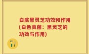 白底黑灵芝功效和作用(白色真菌：黑灵芝的功效与作用)