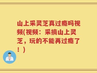 山上采灵芝真过瘾吗视频(视频：采摘山上灵芝，玩的不能再过瘾了！)