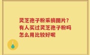 灵芝孢子粉采摘图片？有人买过灵芝孢子粉吗怎么用比较好呢