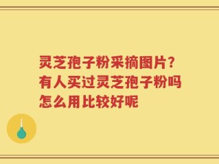 灵芝孢子粉采摘图片？有人买过灵芝孢子粉吗怎么用比较好呢