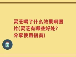 灵芝喝了什么效果啊图片(灵芝有哪些好处？分享使用指南)