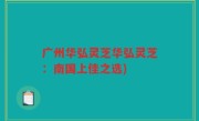 广州华弘灵芝华弘灵芝：南国上佳之选)