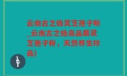 云南古之极灵芝孢子粉_云南古之极高品质灵芝孢子粉，天然养生珍品)