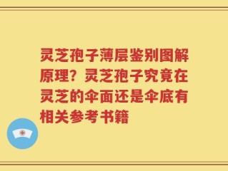 灵芝孢子薄层鉴别图解原理？灵芝孢子究竟在灵芝的伞面还是伞底有相关参考书籍