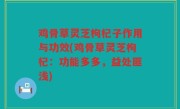 鸡骨草灵芝枸杞子作用与功效(鸡骨草灵芝枸杞：功能多多，益处匪浅)