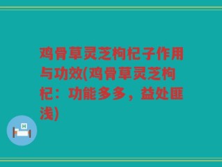 鸡骨草灵芝枸杞子作用与功效(鸡骨草灵芝枸杞：功能多多，益处匪浅)