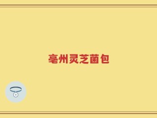 亳州灵芝菌包