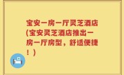 宝安一房一厅灵芝酒店(宝安灵芝酒店推出一房一厅房型，舒适便捷！)