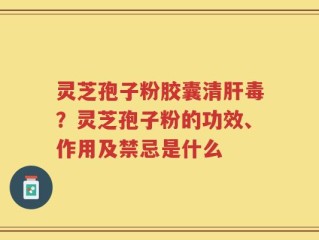 灵芝孢子粉胶囊清肝毒？灵芝孢子粉的功效、作用及禁忌是什么