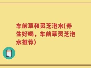 车前草和灵芝泡水(养生好喝，车前草灵芝泡水推荐)