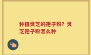 种植灵芝的孢子粉？灵芝孢子粉怎么种