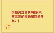 天然灵芝生长周期(天然灵芝的生长周期是多久？)