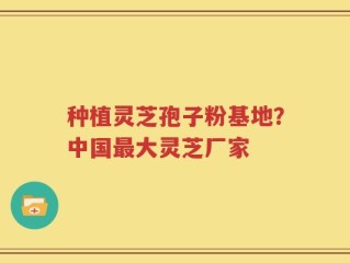 种植灵芝孢子粉基地？中国最大灵芝厂家