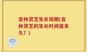 吉林灵芝生长周期(吉林灵芝的生长时间是多久？)
