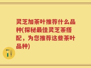 灵芝加茶叶推荐什么品种(探秘最佳灵芝茶搭配，为您推荐这些茶叶品种)
