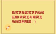 铁灵芝和紫灵芝的功效区别(铁灵芝与紫灵芝功效区别明显！)