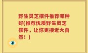 野生灵芝摆件推荐哪种好(推荐优质野生灵芝摆件，让你更接近大自然！)