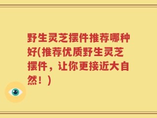 野生灵芝摆件推荐哪种好(推荐优质野生灵芝摆件，让你更接近大自然！)