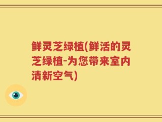鲜灵芝绿植(鲜活的灵芝绿植-为您带来室内清新空气)