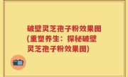 破壁灵芝孢子粉效果图(重塑养生：探秘破壁灵芝孢子粉效果图)