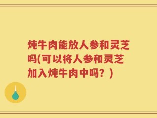 炖牛肉能放人参和灵芝吗(可以将人参和灵芝加入炖牛肉中吗？)