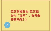 灵芝常被称为(灵芝被誉为“仙草”，有哪些神奇功效？)