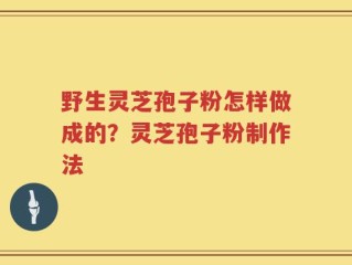 野生灵芝孢子粉怎样做成的？灵芝孢子粉制作法