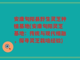 安康旬阳县野生灵芝种植基地(安康旬阳灵芝基地：传统与现代相融，探寻灵芝栽培经验)