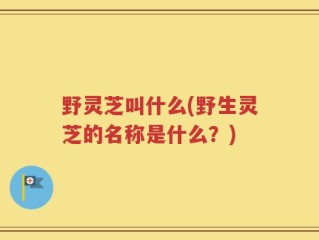 野灵芝叫什么(野生灵芝的名称是什么？)