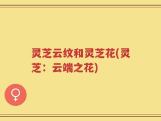 灵芝云纹和灵芝花(灵芝：云端之花)