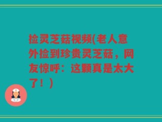 捡灵芝菇视频(老人意外捡到珍贵灵芝菇，网友惊呼：这颗真是太大了！)