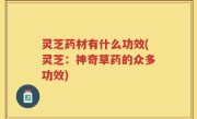 灵芝药材有什么功效(灵芝：神奇草药的众多功效)